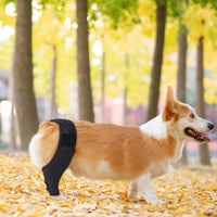 Dog Leg Brace for Post-Surgery Recovery, Anti-Lick Joint Protector for Injuries and Fractures