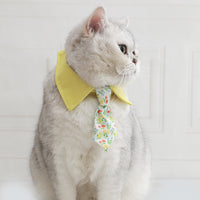 Pet Cat Dog Bow Tie Collar with Adjustable Necktie for Small to Medium Breeds