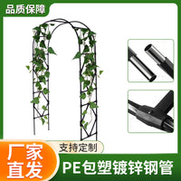 Garden Arch Trellis for Climbing Plants, Outdoor Steel Tube Arbor for Vines, Roses, and Grapes