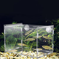Acrylic Self-Circulating Desktop Betta Fish Tank with Multi-Grid Isolation and Filtration