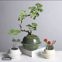 Ceramic Planet Saucer Planter with Crackle Glaze for Succulents and Green Plants