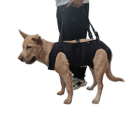 Pet Support Harness for Injured, Elderly, or Disabled Dogs