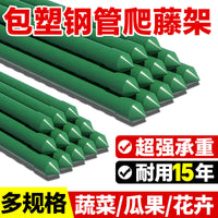 爬藤架葡萄黄瓜豆角架植物支撑杆种菜花支架园艺户外庭院西红柿架.. 绿色 直径16mm长120cm【10支】送扎带