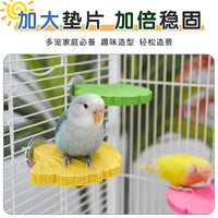 Parrot Ginkgo Sand Perch for Claw and Beak Grinding, Bird Cage Accessory