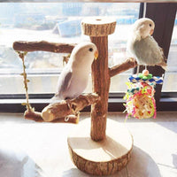 Bird Playground Perch with Swing and Food Box for Small Parrots and Budgies