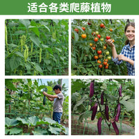 Garden Trellis for Climbing Plants, Cucumber Tomato Bean Support Frame, Plant Climbing Stake