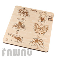Montessori Wooden Animal Evolution Layered Puzzle for Early Education