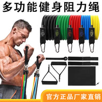 11-Piece Resistance Band Set with Handles, Ankle Straps, and Door Anchor for Full Body Workout