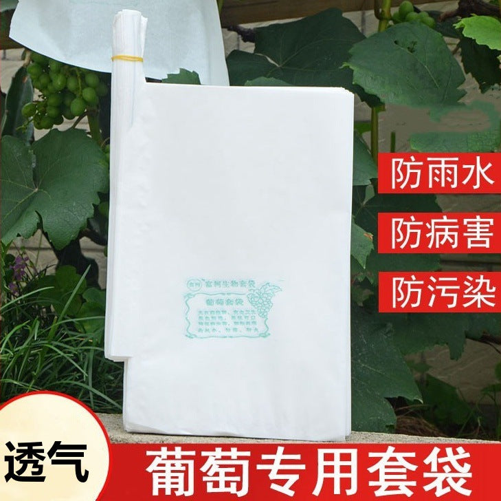White All-Wood Pulp Grape Protection Bags - Sunscreen, Waterproof, Insect and Bird Proof Paper Bags for Grapes