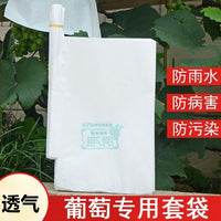 White All-Wood Pulp Grape Protection Bags - Sunscreen, Waterproof, Insect and Bird Proof Paper Bags for Grapes