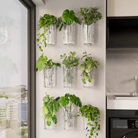 Wall-Mounted Hydroponic Planter for Indoor Plants - Clear Acrylic Decor