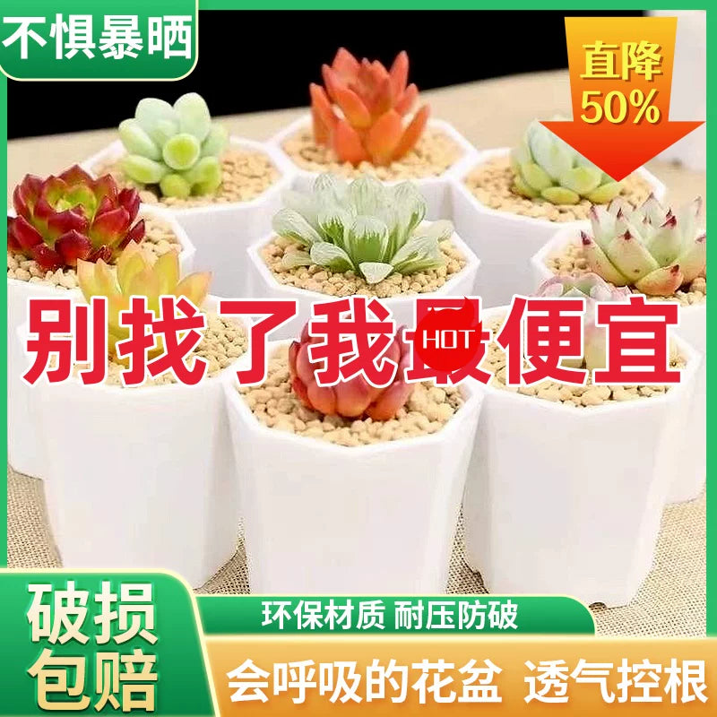 Thickened Octagonal Plastic Succulent Planter Pots for Home Gardening and Seedling Propagation