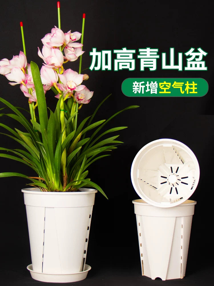 Tall Transparent Orchid & Aroid Pot with Root Control and Breathable Design for Indoor Plants