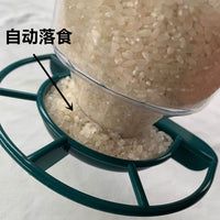 Window Mounted Bird Feeder with Suction Cups for Wild Birds