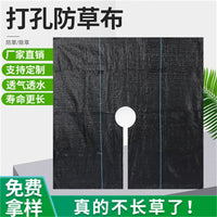 Weed Barrier Fabric for Agriculture, Perforated, Breathable, Anti-Aging Ground Cover for Orchards