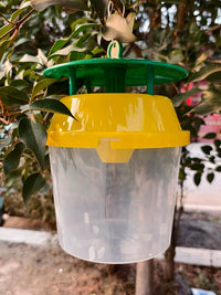 Moth Trap Kit for Beet Armyworm and Oriental Leafworm, Fruit Moth Catcher for Vegetable Greenhouses