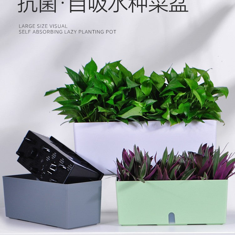 Self-Watering Rectangular Planter Box for Balcony & Windowsill, Indoor Plastic Long Strip Planter