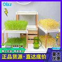 Hydroponic Seedling Tray with Stand for Soilless Cultivation
