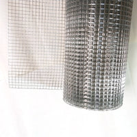 Galvanized Welded Wire Mesh for Plastering and Rodent Control