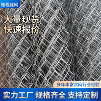 Galvanized Chain Link Fence for Orchard, Farm, Highway Slope Protection, and Mine Support