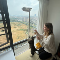 Wall-Mounted Solid Wood Cat Climbing Post with Scratching Rope and Hammock