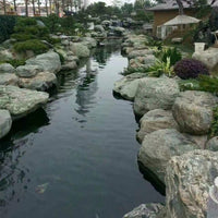 Natural River Stone for Landscaping, Garden, and Outdoor Decor