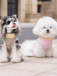 Pet Dog Cooling Vest for Summer - Thin Sun Protection Shirt for Small to Medium Breeds