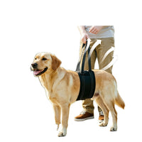 Dog Rear Leg Support Harness for Elderly and Injured Dogs, Rehabilitation Aid