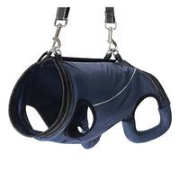 Dog Mobility Harness for Senior and Disabled Dogs - Support and Lift Aid