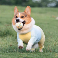 Dog Summer Cooling Sun Protection Jumpsuit for Outdoor Activities