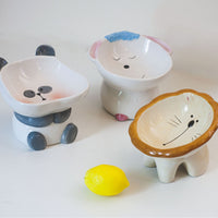 Elevated Ceramic Pet Bowl for Cats and Small Dogs, Tilted Design for Neck Protection, Decorative Food and Water Dish