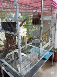Galvanized Welded Wire Mesh for Cages and Fencing, 1.1cm Mesh, 1.7mm Wire