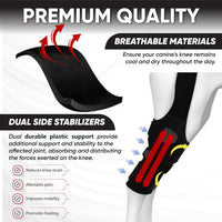 Pet Dog Rear Leg Brace with Collar for Joint Support and Injury Recovery