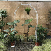Metal Garden Arch Trellis for Climbing Plants, Roses, and Vines - Outdoor Support Frame