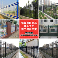 Anti-Climb Steel Fence Panel for Villas, Gardens, Schools, and Outdoor Security