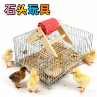 Rotating Pet Feeder Toy for Parrots, Chickens, Squirrels with Grinding Stone