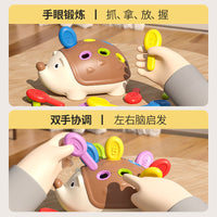 Toddler Hedgehog Fine Motor Skill Building Toy for Early Education