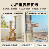 Window Suction Cup Cat Hammock Space Capsule Solid Wood Cat Climbing Frame Glass Window Bay Window No-Drill Wall-Mounted Cat Perch