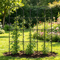 Garden Arch Trellis for Climbing Plants, Cucumber Bean Support, Morning Glory Rose Vine Frame