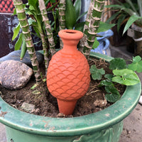 Automatic Ceramic Pineapple Plant Watering Spike for Potted Plants