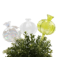 Self-Watering Glass Plant Globes for Potted Plants - Automatic Drip Irrigation System for Indoor/Outdoor Gardening