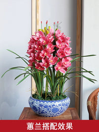 Premium Artificial Phalaenopsis Orchid Flower Arrangement