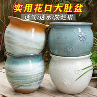 Ceramic Orchid and Succulent Planter Pot, Large Caliber, Elegant Design