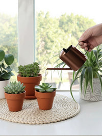 Stainless Steel Mini Watering Can for Indoor Plants, Succulents, and Children - 300ml/450ml