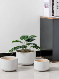 Nordic Style Ceramic Orchid Planter Pot with Drainage Tray for Indoor Plants