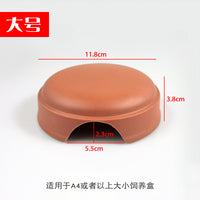 Reptile Humidifying Hideaway Cave for Geckos and Hermit Crabs, Ceramic Moisturizing Shelter