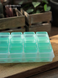 Semi-Transparent Square Plastic Planter with Drainage Tray for Succulents and Seedlings