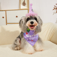 Pet Birthday Party Hat and Bandana Set for Dogs and Cats