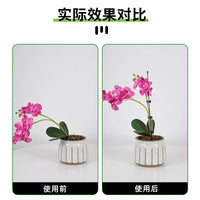 Orchid Plant Support Stakes with Clips for Potted Flowers and Gardening