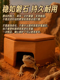 Reptile Ceramic Humidifying Hideaway Cave for Lizards, Snakes, and Spiders